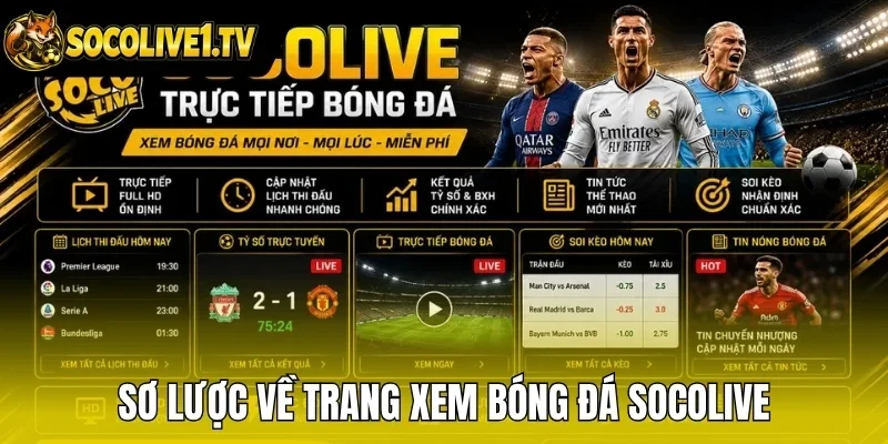 Sơ lược về trang xem bóng đá Socolive