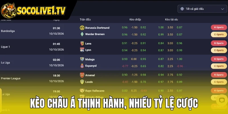 Kèo châu Á thịnh hành, nhiều tỷ lệ cược